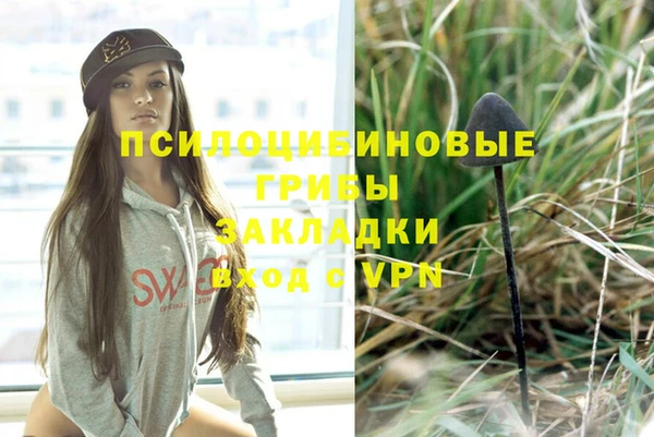 крисы Алзамай