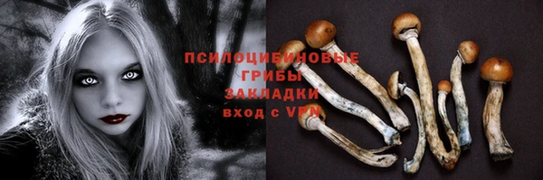 гидра Абдулино